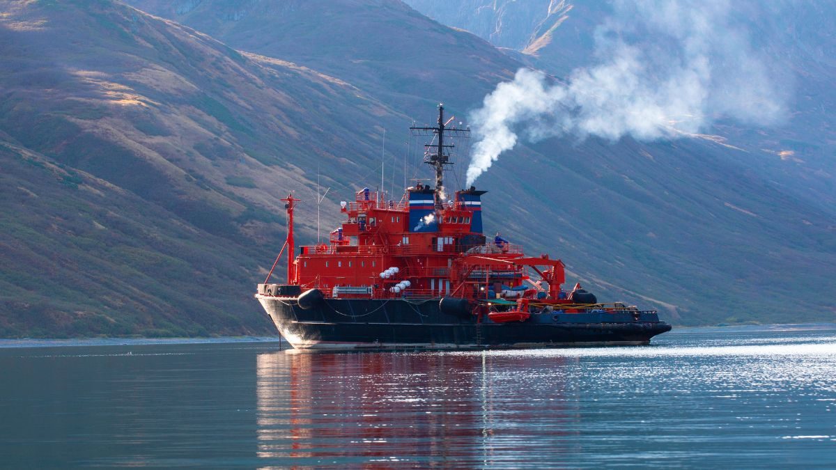 sart-buying-guide-ships