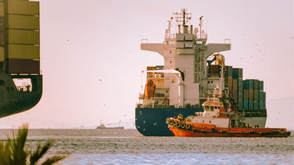 international-maritime-organization