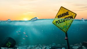 understanding-marine-pollution