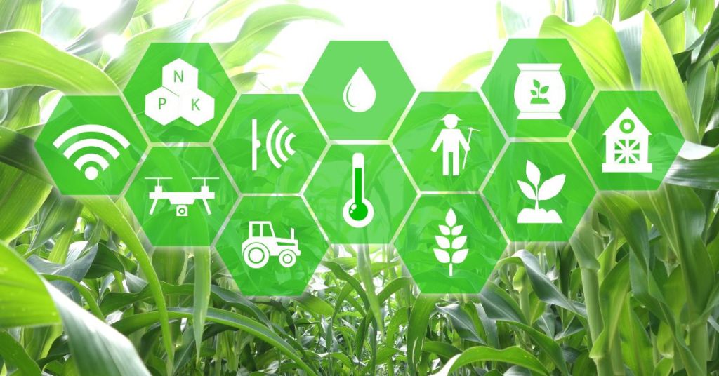 agriculture-and-farming