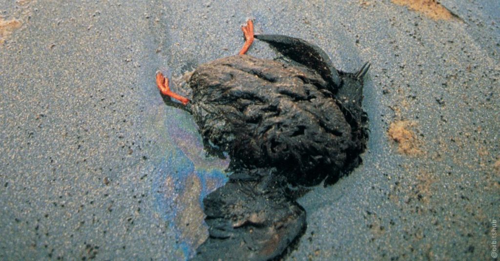 environmental-impact