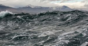 navigating-the-high-seas