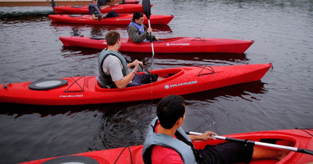 design-and-shape-where-form-meets-function