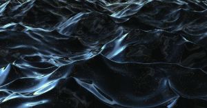 exploring-the-enigmatic-black-sea-ecosystem-flora-and-fauna