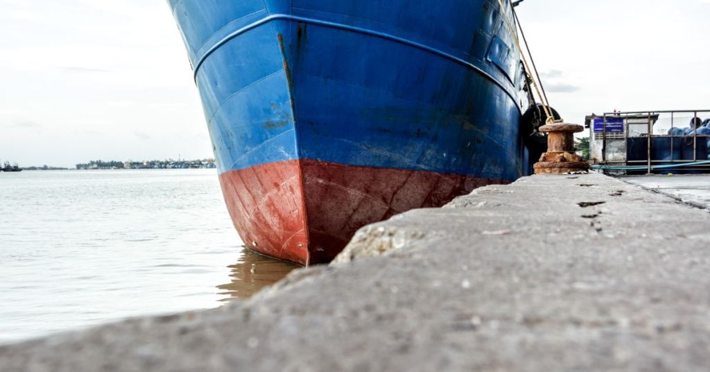 human-impact-and-environmental-concerns