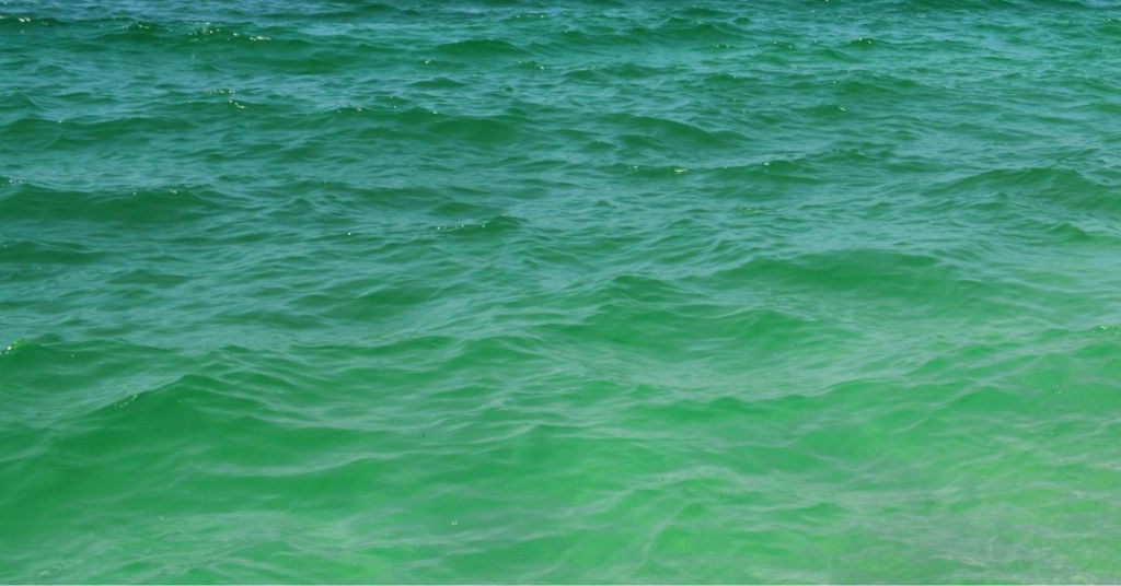 tapping-into-abundance-the-caspian-sea's-role-in-global-energy-resources