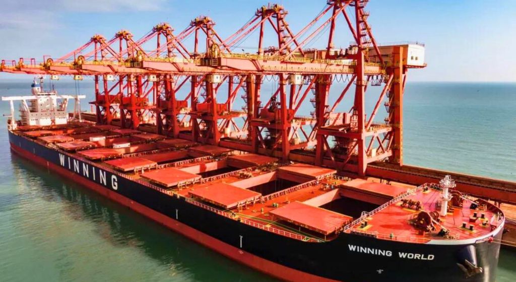 Understanding the Significance of Different Port Crane Varieties