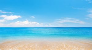 10-white-sea-facts-you-might-not-know