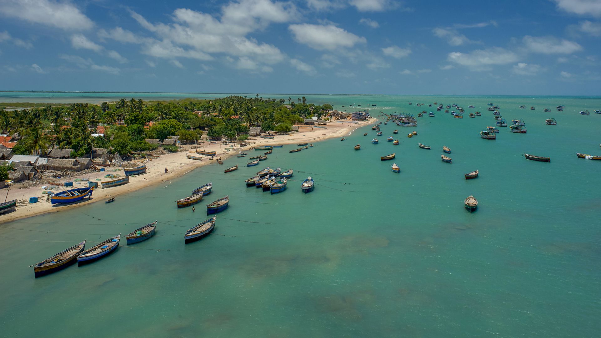 12-interesting-facts-about-the-gulf-of-mannar