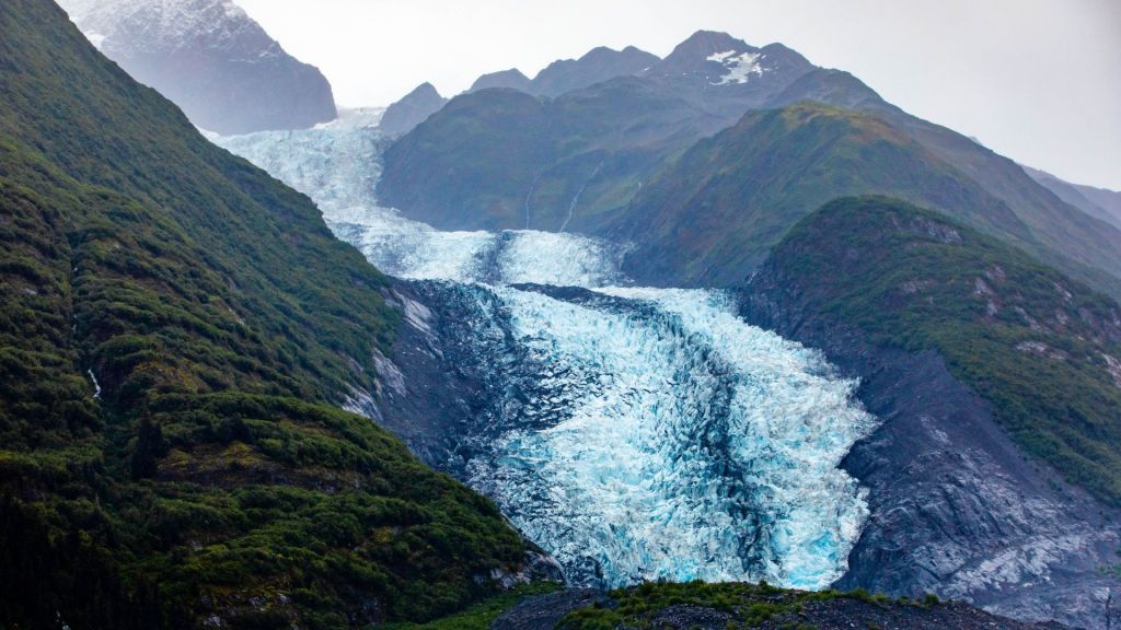 significance-and-unique-attributes