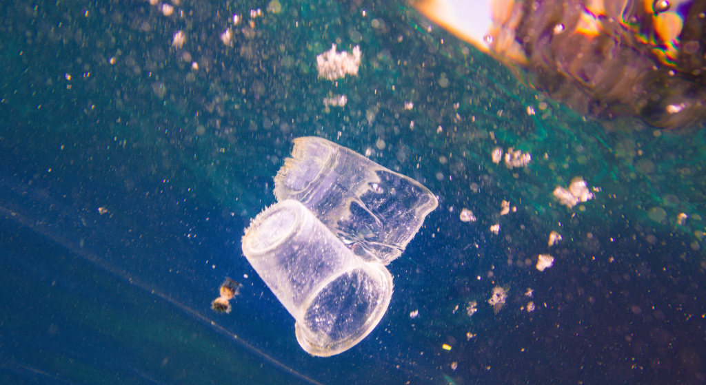 the-great-pacific-garbage-patch-an-environmental-crisis