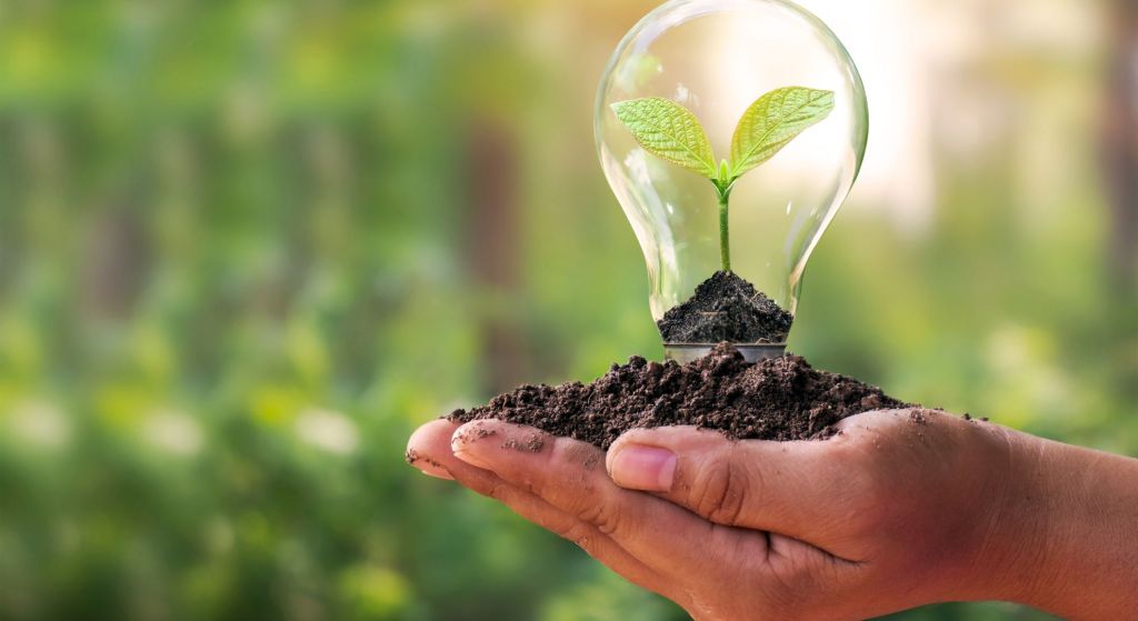 conservation-efforts