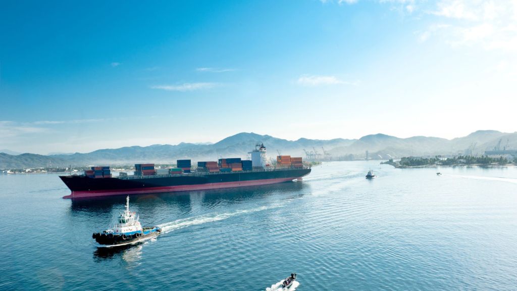 history-and-development