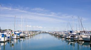 the-port-of-tauranga-new-zealand-premier-shipping-gateway