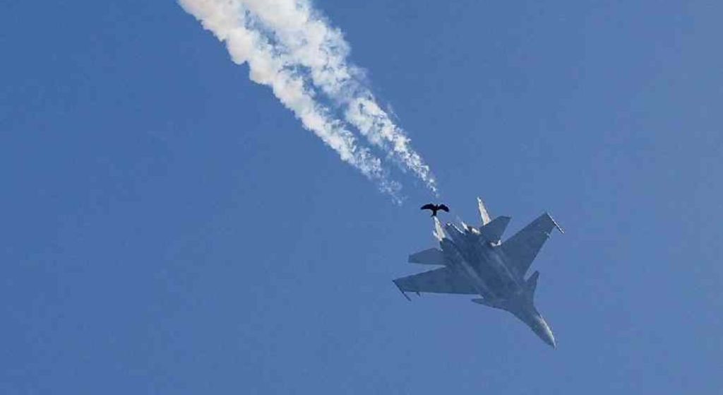 training aircraft crashes in pune