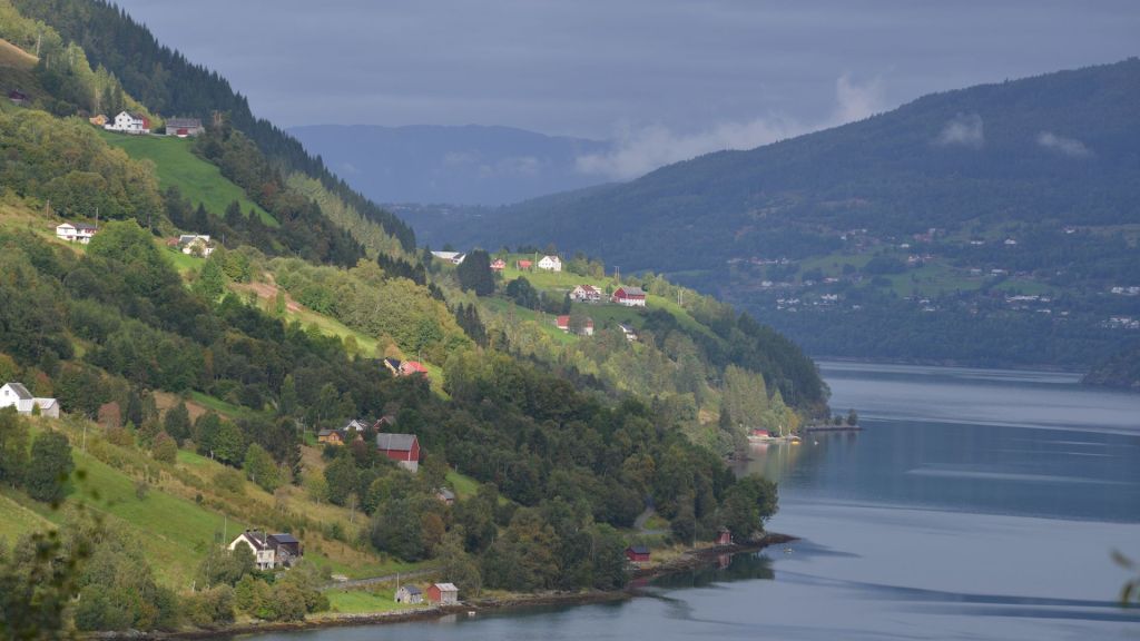 history-and-background