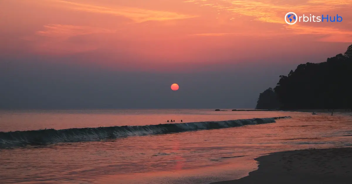 a-day-in-the-life-of-the-reef-from-dawn-to-dusk