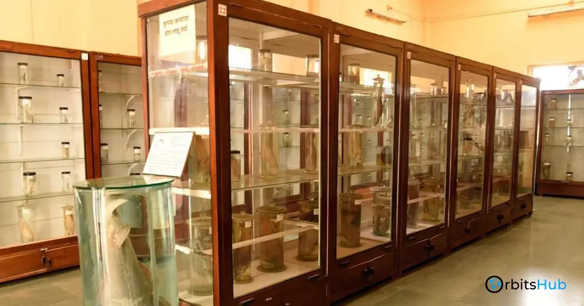 diving-deeper-the-research-wing