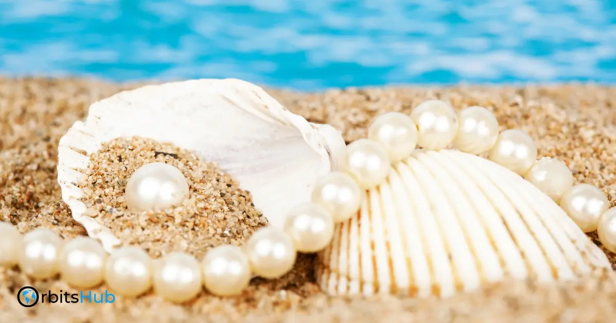 oceanic-treasure- the -sea-pearl