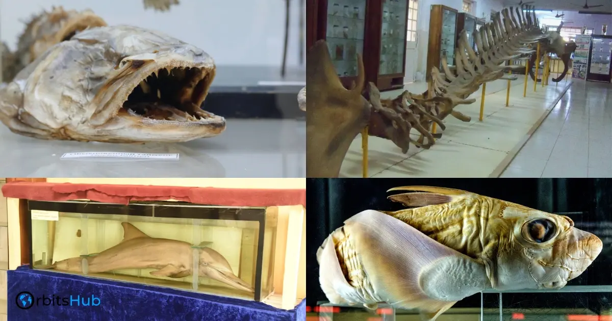 riding-the-wave-of-the-future