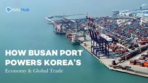 How Busan Port Powers Korea’s Economy & Global Trade